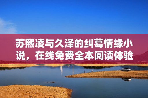 苏熙凌与久泽的纠葛情缘小说，在线免费全本阅读体验分享