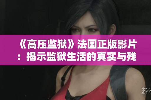 《高压监狱》法国正版影片：揭示监狱生活的真实与残酷的故事