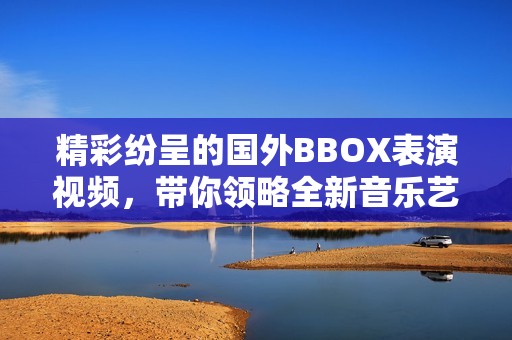 精彩纷呈的国外BBOX表演视频，带你领略全新音乐艺术魅力