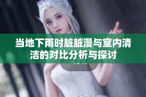 当地下雨时脏脏漫与室内清洁的对比分析与探讨