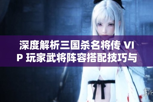 深度解析三国杀名将传 VIP 玩家武将阵容搭配技巧与心得