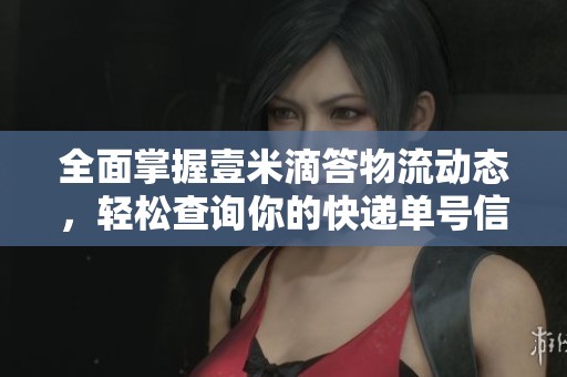 全面掌握壹米滴答物流动态，轻松查询你的快递单号信息