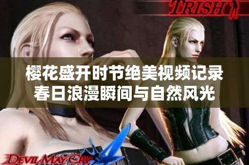 樱花盛开时节绝美视频记录春日浪漫瞬间与自然风光