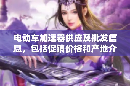 电动车加速器供应及批发信息，包括促销价格和产地介绍