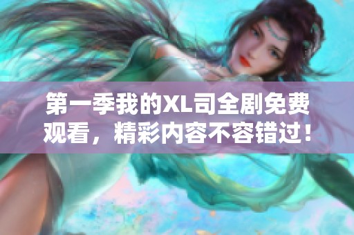 第一季我的XL司全剧免费观看，精彩内容不容错过！