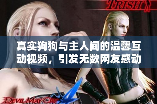 真实狗狗与主人间的温馨互动视频，引发无数网友感动与共鸣