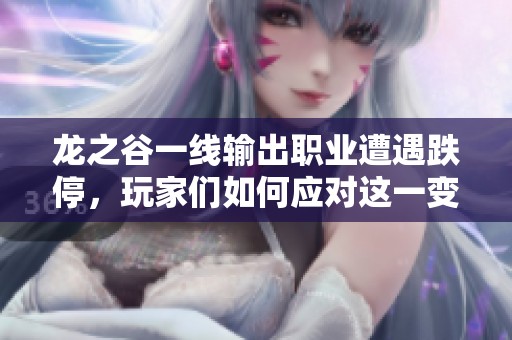 龙之谷一线输出职业遭遇跌停，玩家们如何应对这一变化
