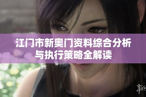 江门市新奥门资料综合分析与执行策略全解读