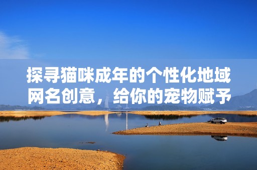 探寻猫咪成年的个性化地域网名创意，给你的宠物赋予独特身份