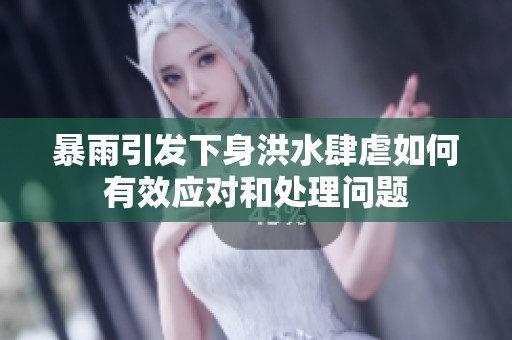 暴雨引发下身洪水肆虐如何有效应对和处理问题
