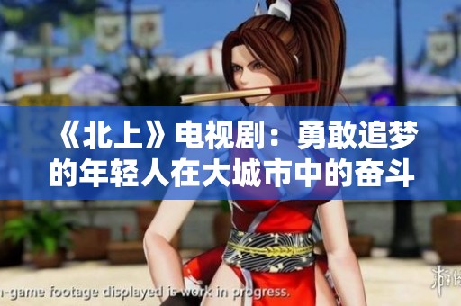 《北上》电视剧：勇敢追梦的年轻人在大城市中的奋斗与成长故事