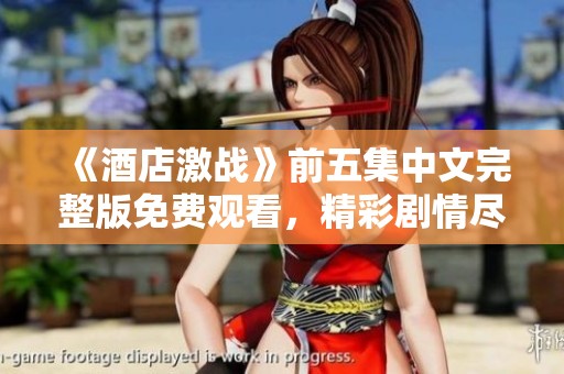 《酒店激战》前五集中文完整版免费观看，精彩剧情尽在掌握中