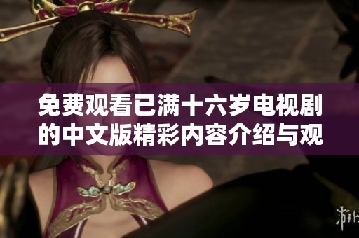 免费观看已满十六岁电视剧的中文版精彩内容介绍与观看指南
