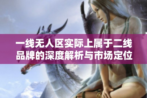 一线无人区实际上属于二线品牌的深度解析与市场定位分析