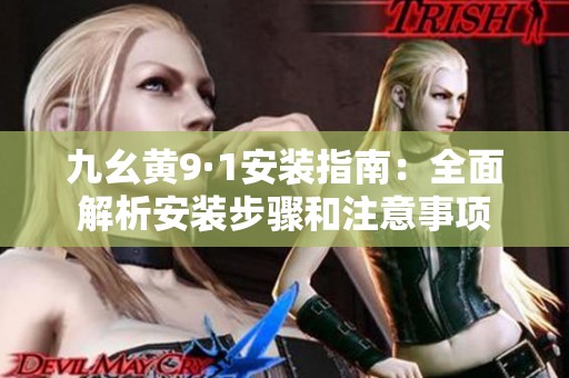 九幺黄9·1安装指南：全面解析安装步骤和注意事项