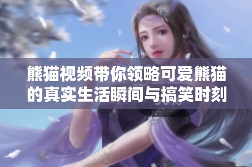 熊猫视频带你领略可爱熊猫的真实生活瞬间与搞笑时刻