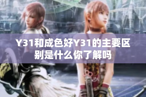 Y31和成色好Y31的主要区别是什么你了解吗